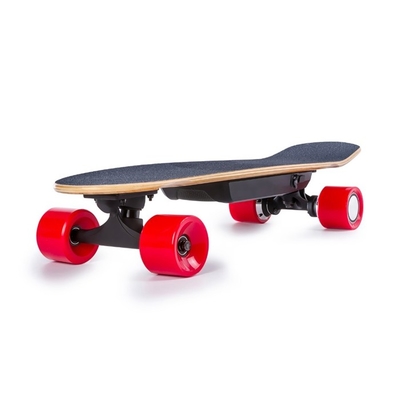 28 Inch HoverBoards Electric Scooters With Remote Control 2 Brushless Engines Motor Drift Board
